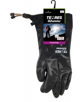 ＴＥＭＲＥＳ　０２　ｗｉｎｔｅｒ