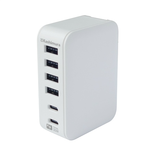 ＡＣ／ＵＳＢ　Ａ４＋Ｃ２　６Ａ　自動識別　リバーシブル