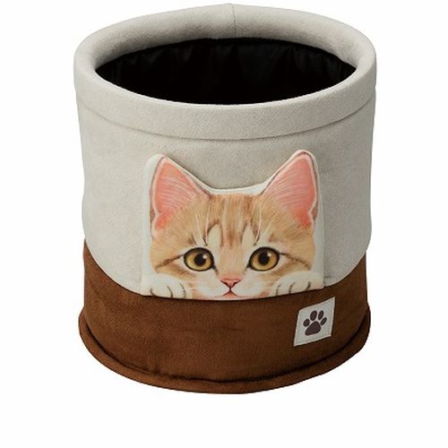 ＦＮひょっこり子猫マルチボックスＢＥ