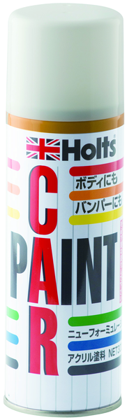 カーペイント　Ｔ－１９※数量限定